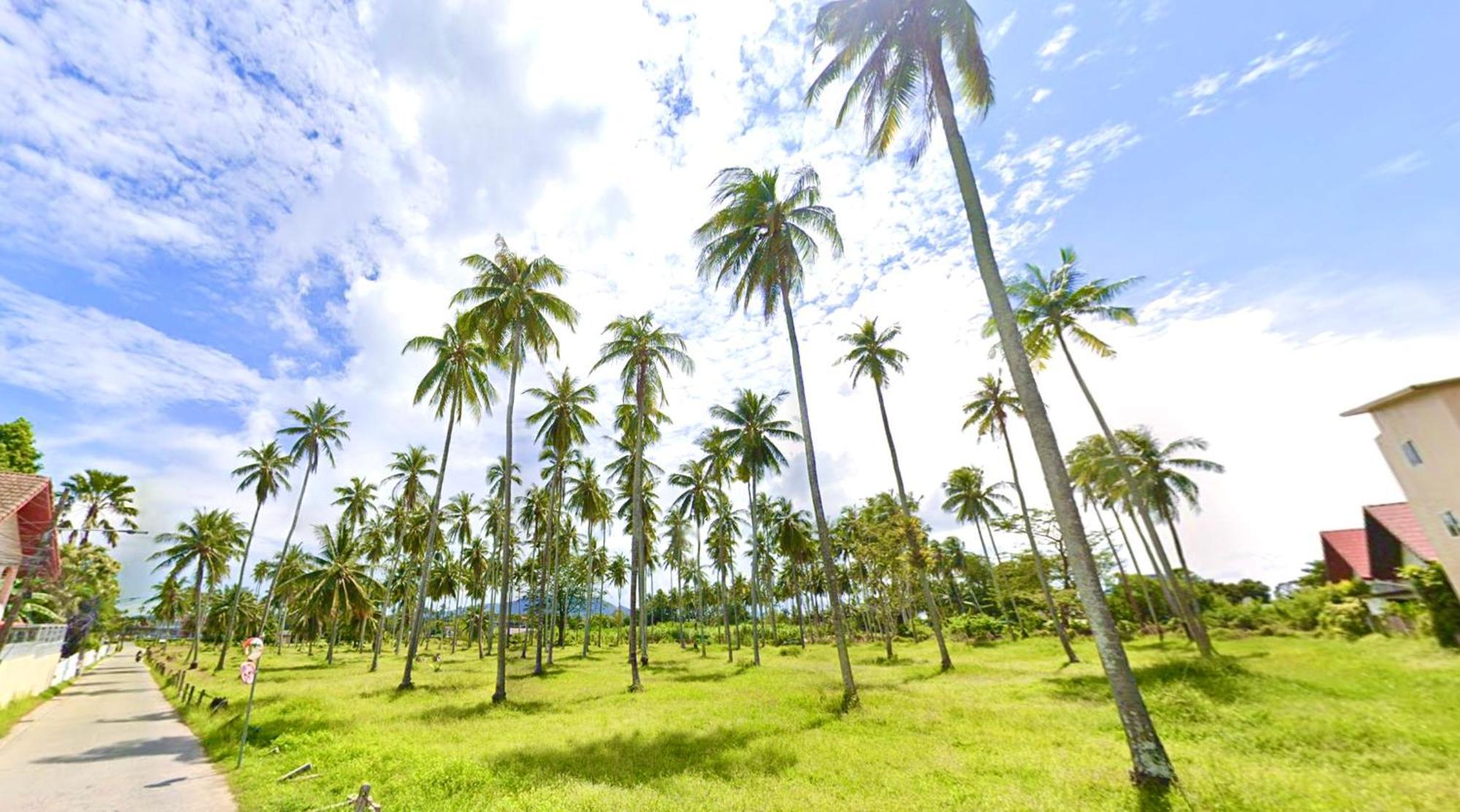 Coconut Palms Villa, Large & Elegant Private Pool Villa In Rawai, Phuket Ban Saiyuan Exterior foto